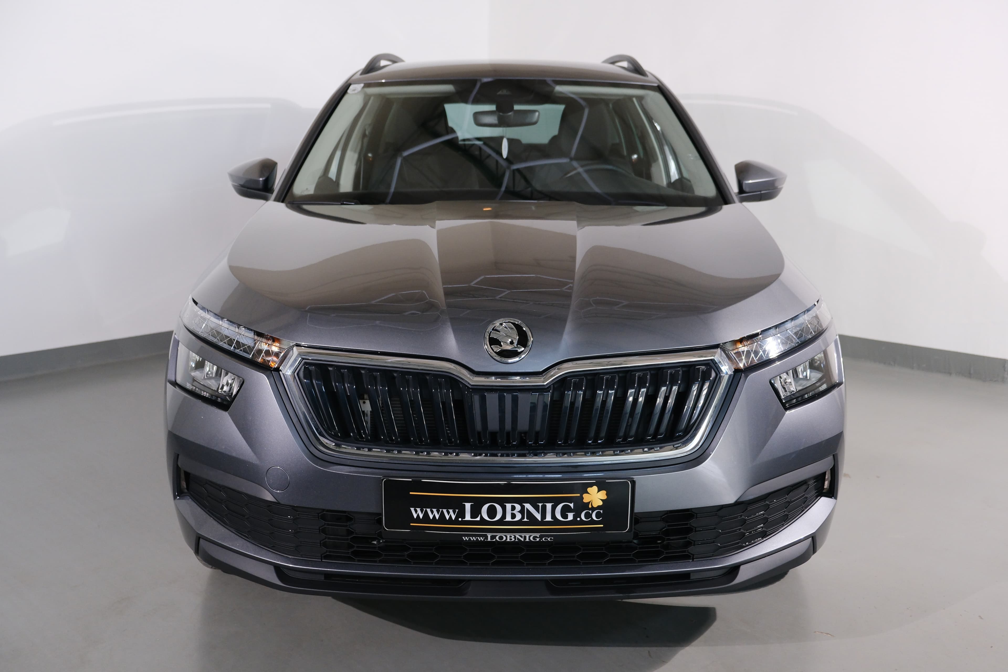 Skoda Kamin Bild 2