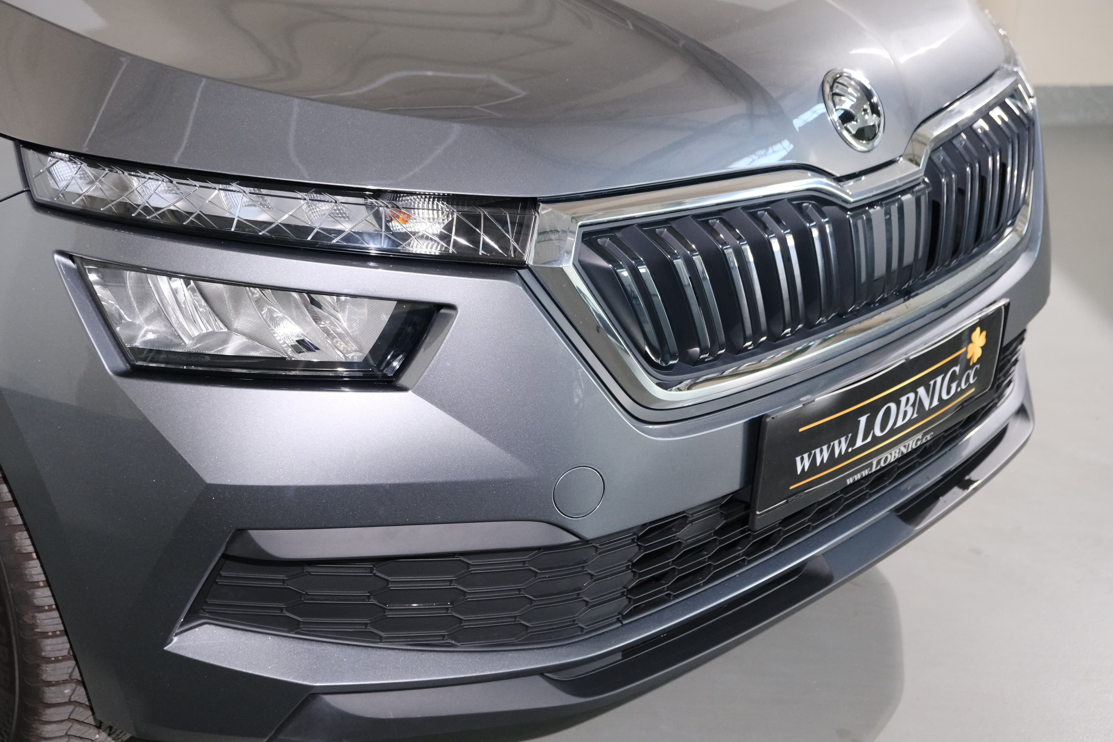 Skoda Kamin Bild 4