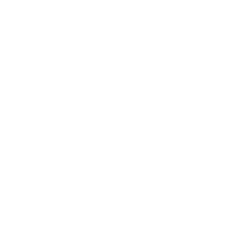 Dietmar Lobnig GmbH Logo